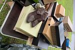 Sale Photo Thumbnail #7