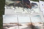 Sale Photo Thumbnail #21