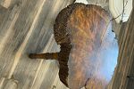 Sale Photo Thumbnail #17
