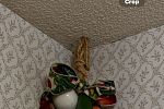 Sale Photo Thumbnail #33