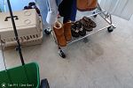 Sale Photo Thumbnail #25