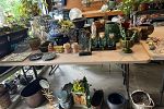 Sale Photo Thumbnail #9