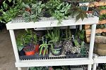 Sale Photo Thumbnail #10