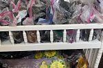 Sale Photo Thumbnail #16