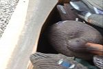 Sale Photo Thumbnail #27