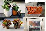 Sale Photo Thumbnail #4