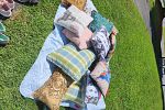 Sale Photo Thumbnail #2
