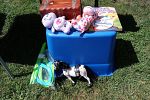 Sale Photo Thumbnail #10