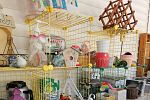 Sale Photo Thumbnail #39