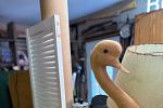 Sale Photo Thumbnail #32