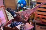 Sale Photo Thumbnail #46