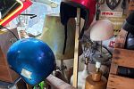 Sale Photo Thumbnail #59
