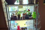 Sale Photo Thumbnail #6