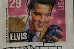 Sale Photo Thumbnail #19
