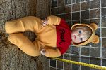 Sale Photo Thumbnail #40
