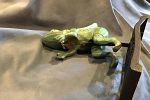 Sale Photo Thumbnail #24