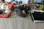 Sale Photo Thumbnail #22
