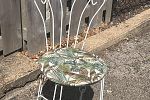 Sale Photo Thumbnail #16