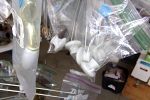 Sale Photo Thumbnail #85