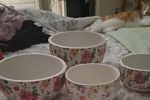Sale Photo Thumbnail #17