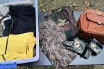 Sale Photo Thumbnail #31
