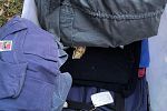 Sale Photo Thumbnail #27