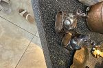 Sale Photo Thumbnail #59