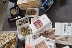 Sale Photo Thumbnail #13