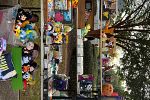 Sale Photo Thumbnail #7