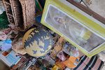 Sale Photo Thumbnail #12