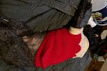 Sale Photo Thumbnail #41