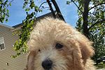 Sale Photo Thumbnail #14