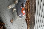 Sale Photo Thumbnail #44
