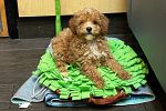 Sale Photo Thumbnail #40