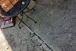 Sale Photo Thumbnail #22