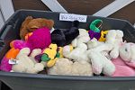 Sale Photo Thumbnail #16