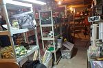 Sale Photo Thumbnail #32