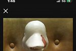 Sale Photo Thumbnail #15