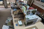 Sale Photo Thumbnail #8