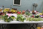Sale Photo Thumbnail #7