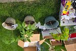 Sale Photo Thumbnail #40