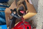Sale Photo Thumbnail #21