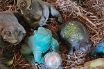 Sale Photo Thumbnail #39