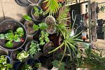 Sale Photo Thumbnail #20