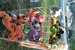 Sale Photo Thumbnail #16