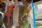 Sale Photo Thumbnail #21