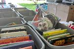 Sale Photo Thumbnail #11
