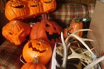 Sale Photo Thumbnail #8