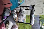 Sale Photo Thumbnail #11