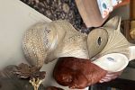 Sale Photo Thumbnail #36